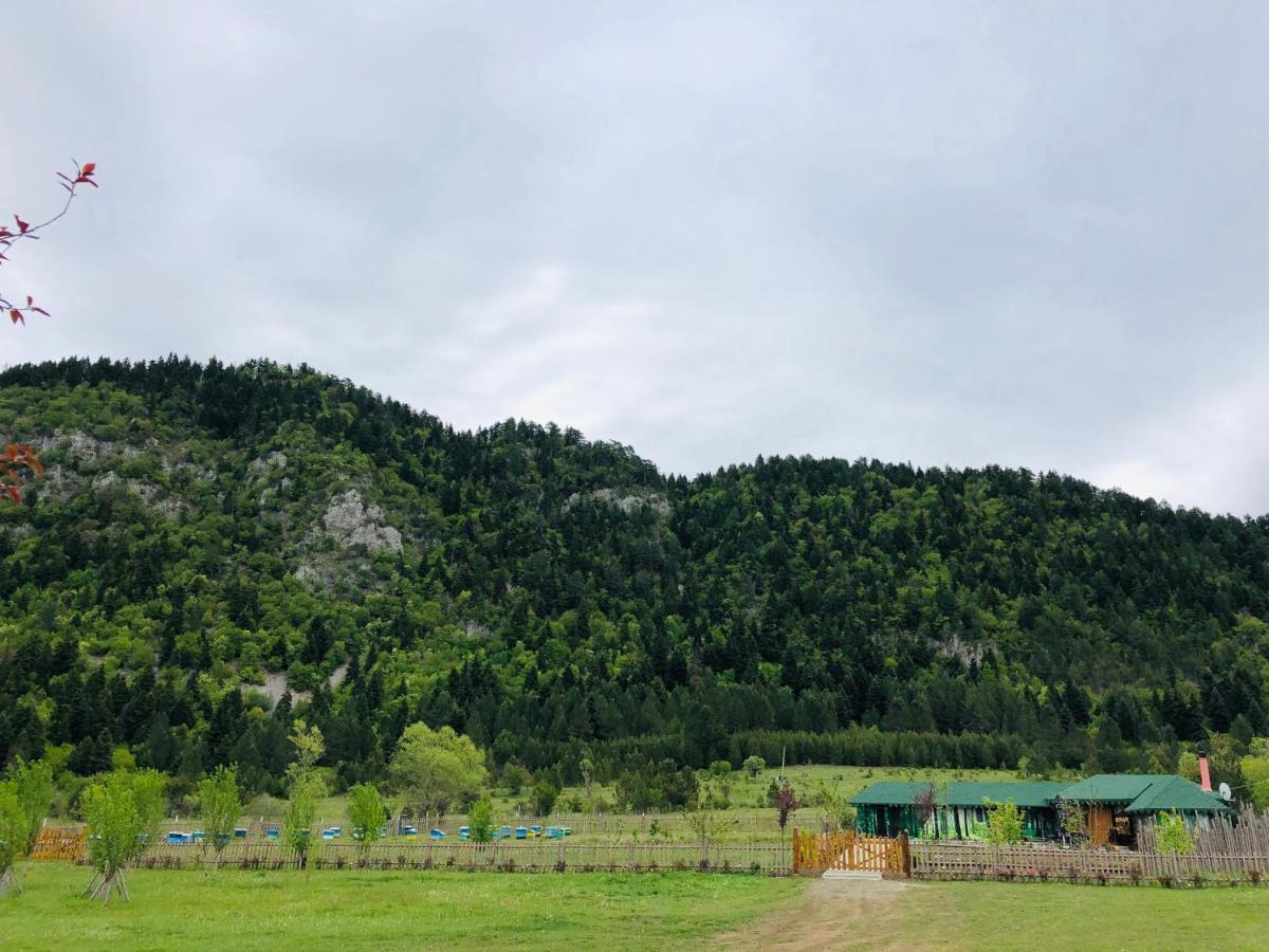 Camping Farm Shelegur Leskovik Exterior photo